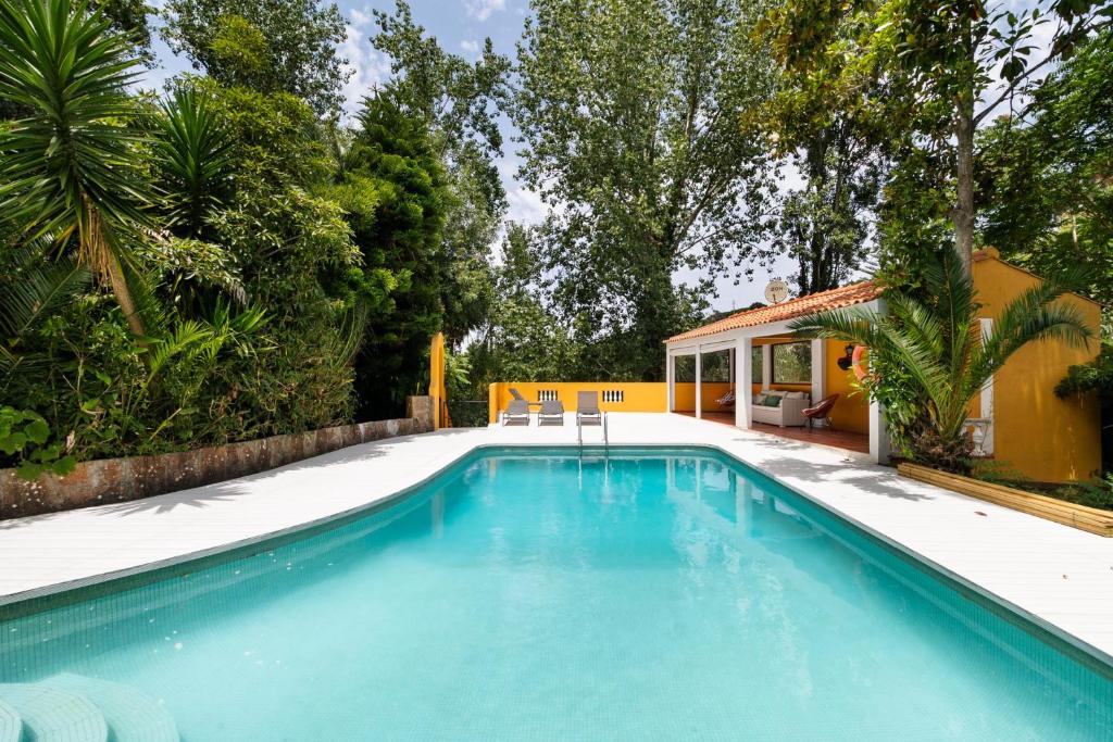 Piscina exterior com escada de acesso e jardim