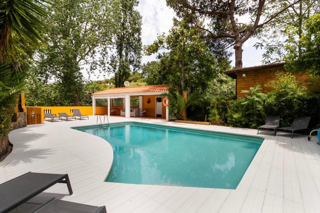 Piscina e solarium entre árvores