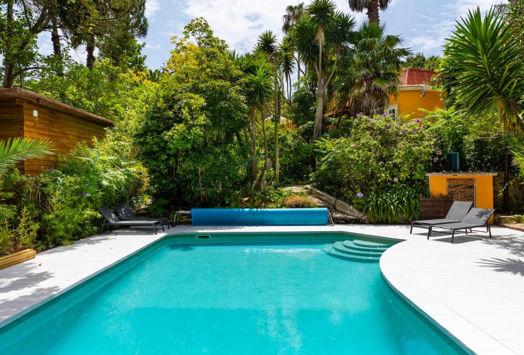 Piscina com deck e vista para o alojamento