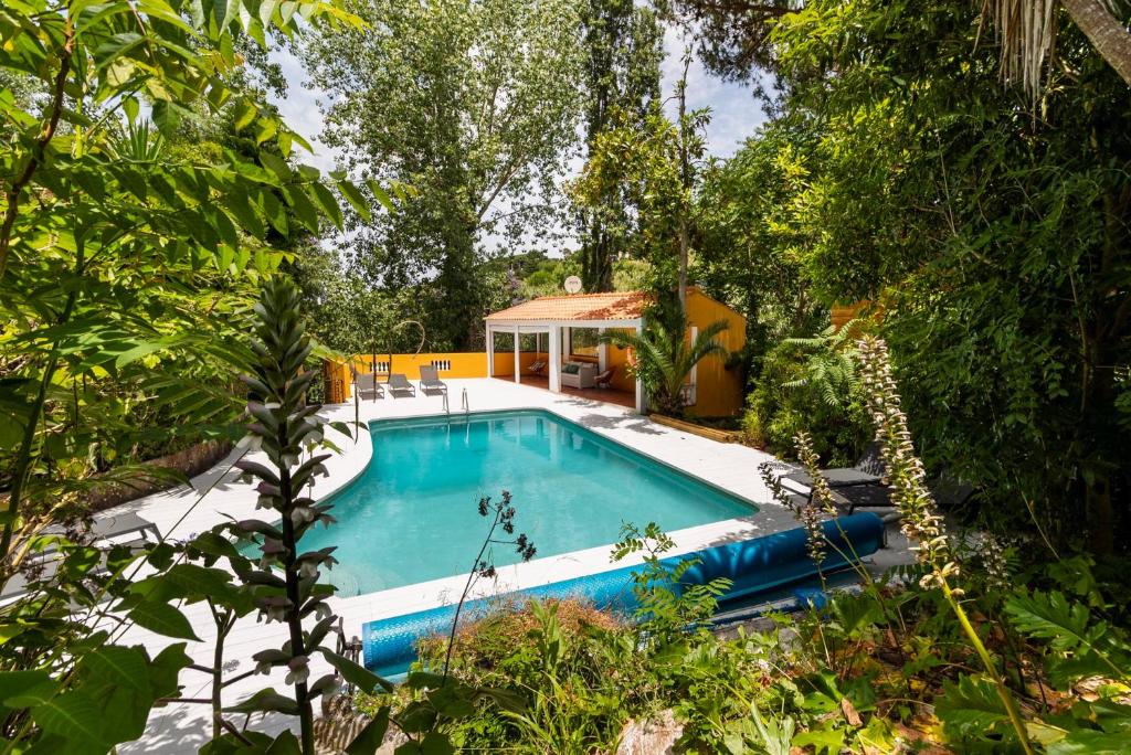 Piscina enquadrada pela vegetação da quinta