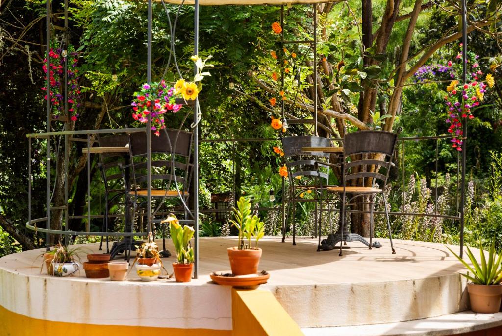 Pormenor da esplanada com plantas e flores
