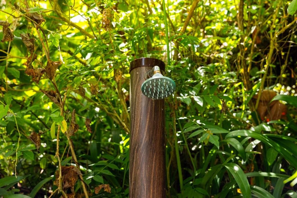 Duche exterior no jardim
