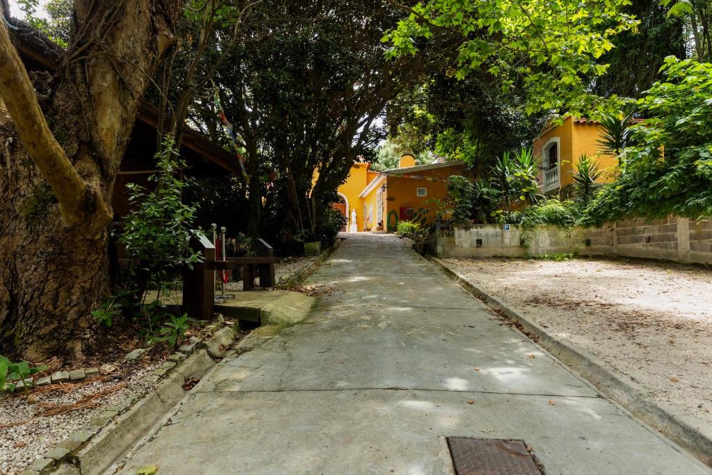 Caminho interior da quinta entre árvores